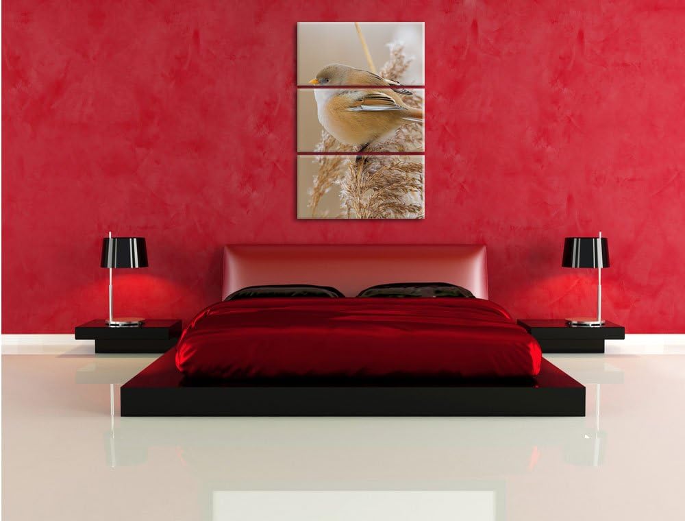 Pixxprint Kleiner Vogel auf Weizen als Leinwandbild 3 teilig/Grösse: 3 Teilig (120x80) / Wandbild/Ku