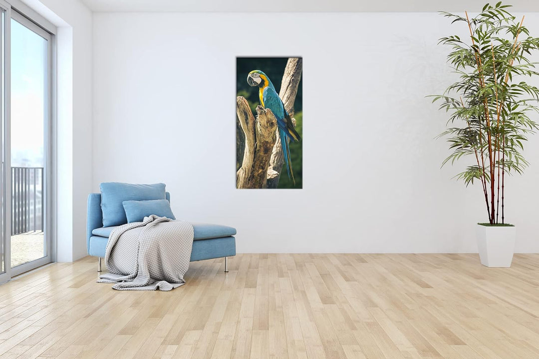 edler Papagei Panorama 100x50 cm als Leinwandbild, Motiv fertig gerahmt auf Echtholzrahmen, Hochwert