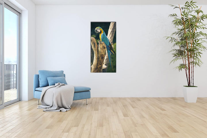 edler Papagei Panorama 100x50 cm als Leinwandbild, Motiv fertig gerahmt auf Echtholzrahmen, Hochwert