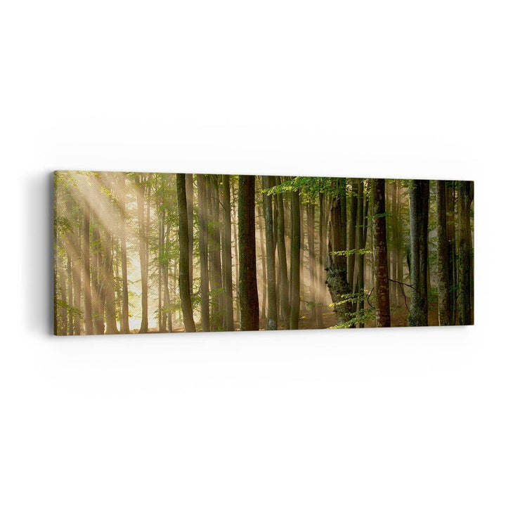 Panorama Bilder auf Leinwand Wald Baum Natur Leinwandbild mit Rahmen 90x30cm Wandbilder Dekoration W