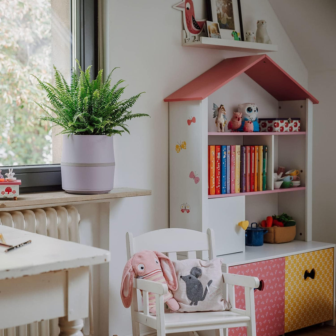 AIRY Pot S mit 3L Airy Base Substrat • Biologischer Luftreiniger filtert Schadstoffe, Allergene & Ge