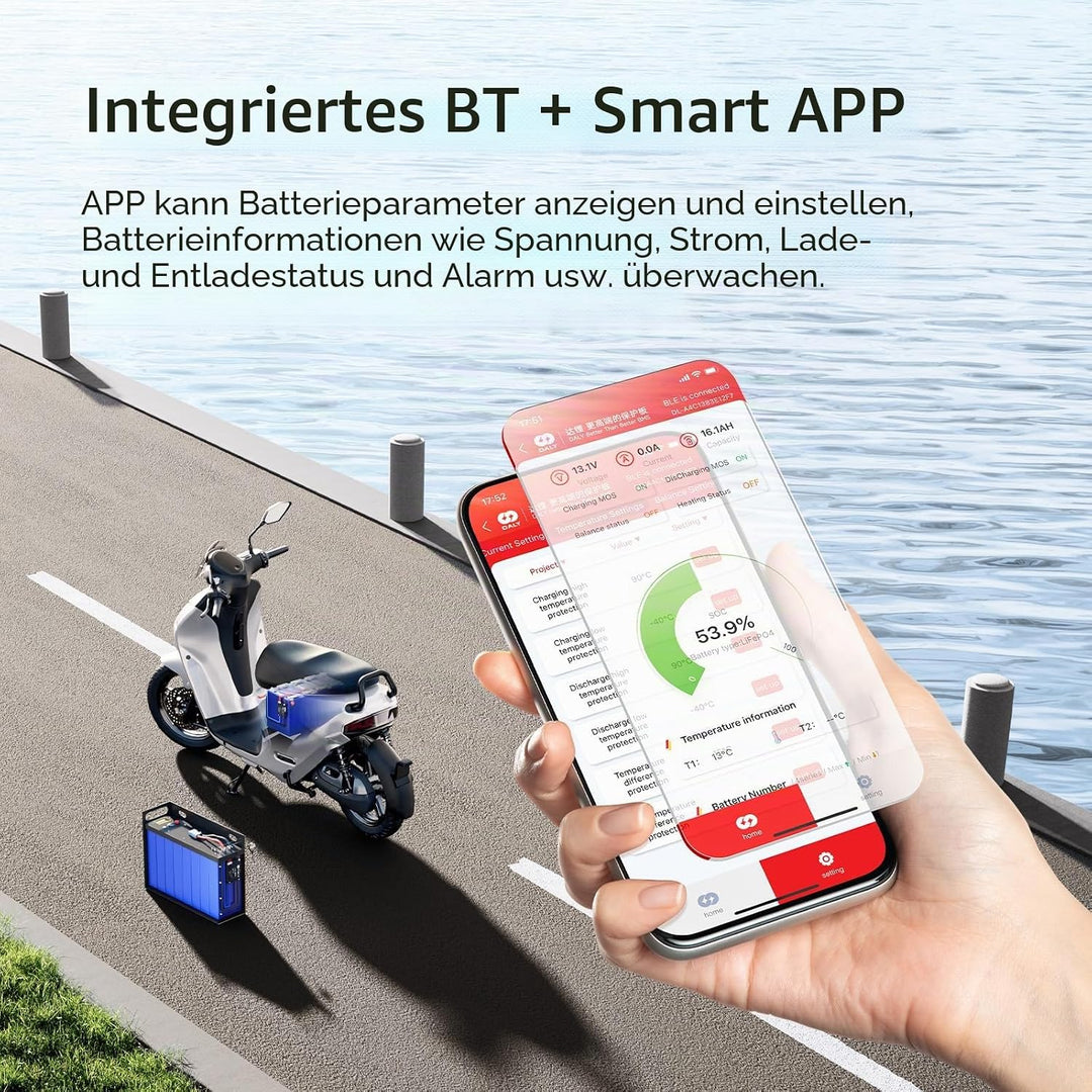DALY BMS 30A 4S-8S 12V-24V - Smart integrierte Bluetooth Überwachung Lithium Batterieschutz LiFePO4