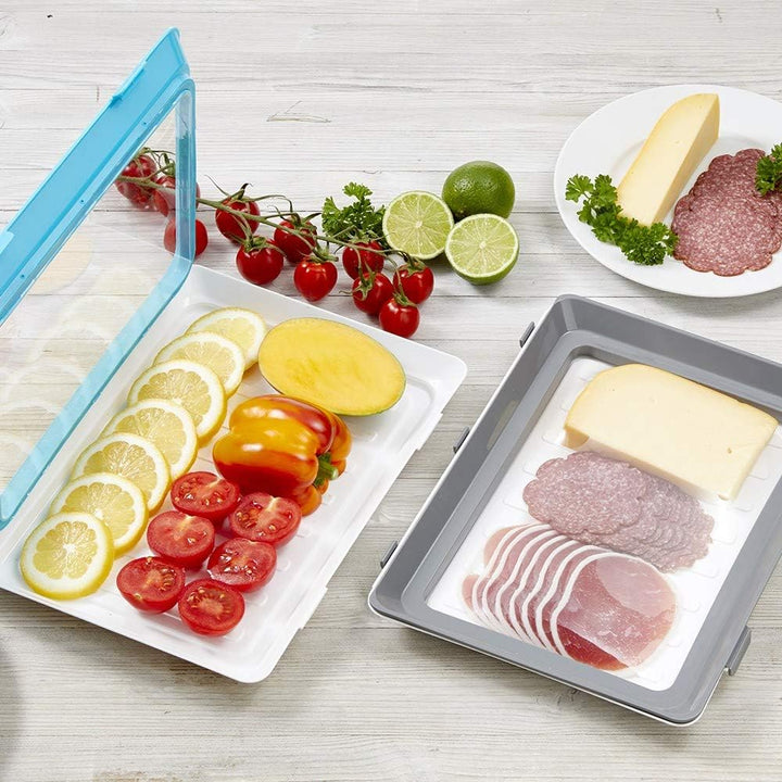 Durandal 2er Set Aufschnittboxen für Kühlschrank aus BPA-freiem Plastik – stapelbare Frischhaltedose