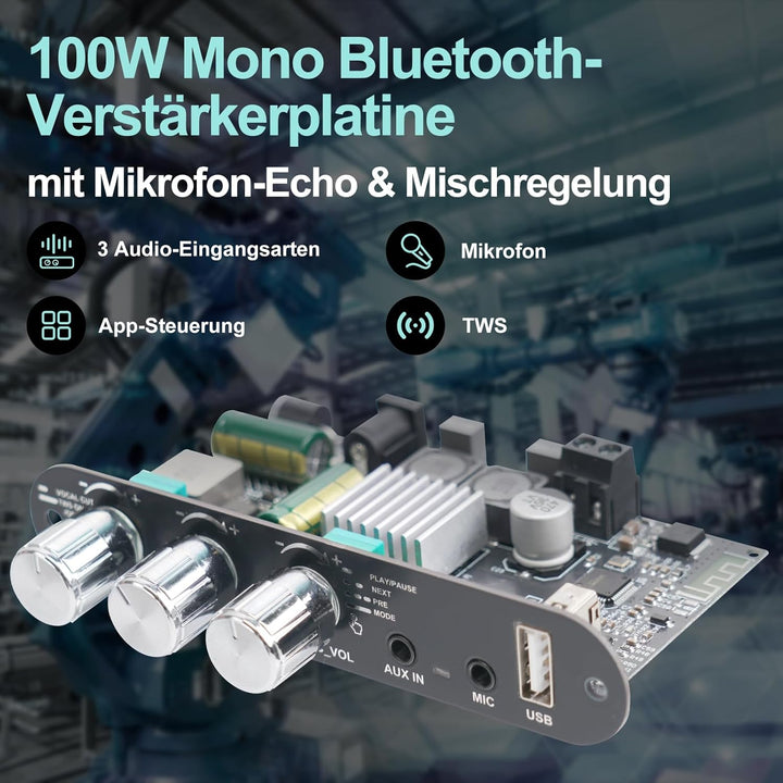 Bluetooth 5.3 Mono Verstärker Board Modul, 100W Audioverstärker mit Echo & EQ-Regelung, TWS-Pairing