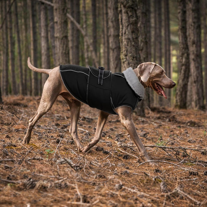 Lelepet Hundejacke Winter Warmer Hundemantel, Wasserdichter Wintermantel Fleece Hundeweste für Mitte