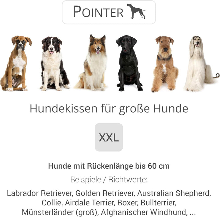 Doctor Bark Pointer | Hundekissen Urban - orthopädisch, waschbar, robust, bequem (XXL - 80x70 cm, Go