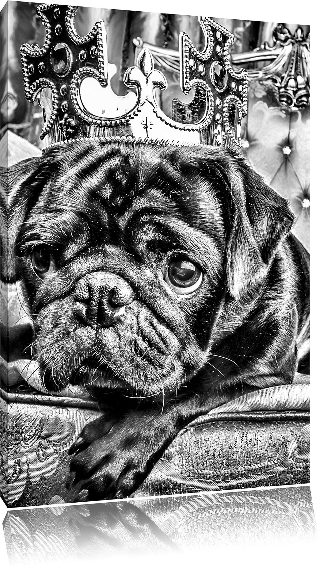 Pixxprint Süsser Mops auf dem Thron als Leinwandbild/Grösse: 100x70 / Wandbild/Kunstdruck/fertig bes