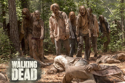 The Walking Dead - Staffel 10 [6 DVDs], DVD