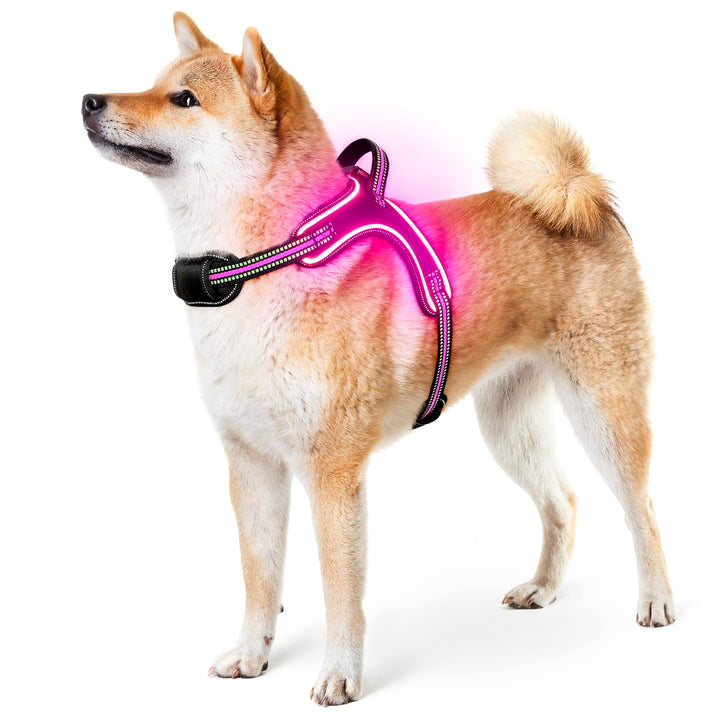 Light Up Light Hundegeschirr Leuchtend Aufladbar, LED Hundegeschirr Mit Griff, Reflektierende Brustg