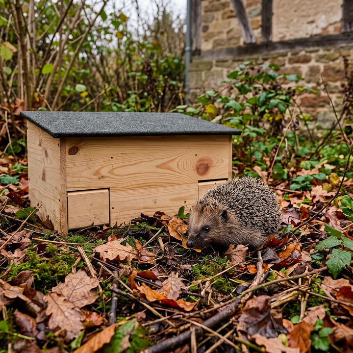gartenetage Igelfutterhaus mit Zwei Eingängen und Rattenklappen/Igelhaus Winterfest mit Boden Katzen