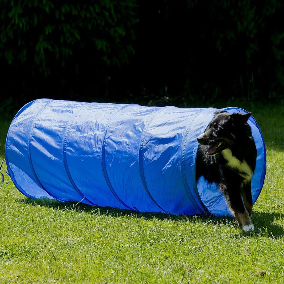 Agility Set für individuelles Hundetraining, Hürden und Slalomstangen mit massiven Erdnägeln, Hundes