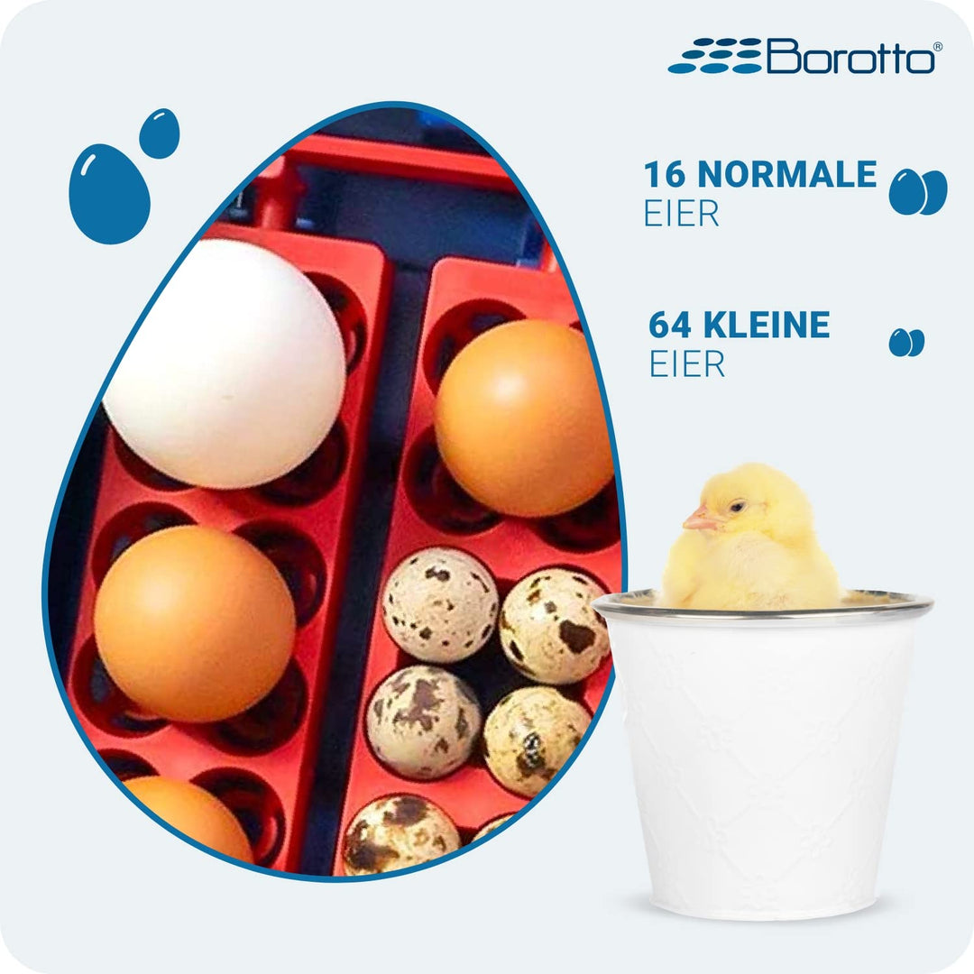 Borotto Lumia 16 | Brutautomat Vollautomatisch, Inkubator für 16 Eier oder 64 Kleine Eier mit Automa