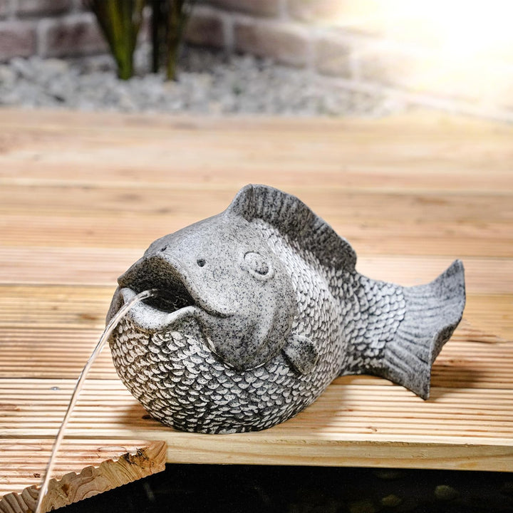 Esotec Wasserspeier-Figur Fisch EINZELFIGUR | Teichfigur Gartenstatue Gartenfigur Springbrunnen-Figu