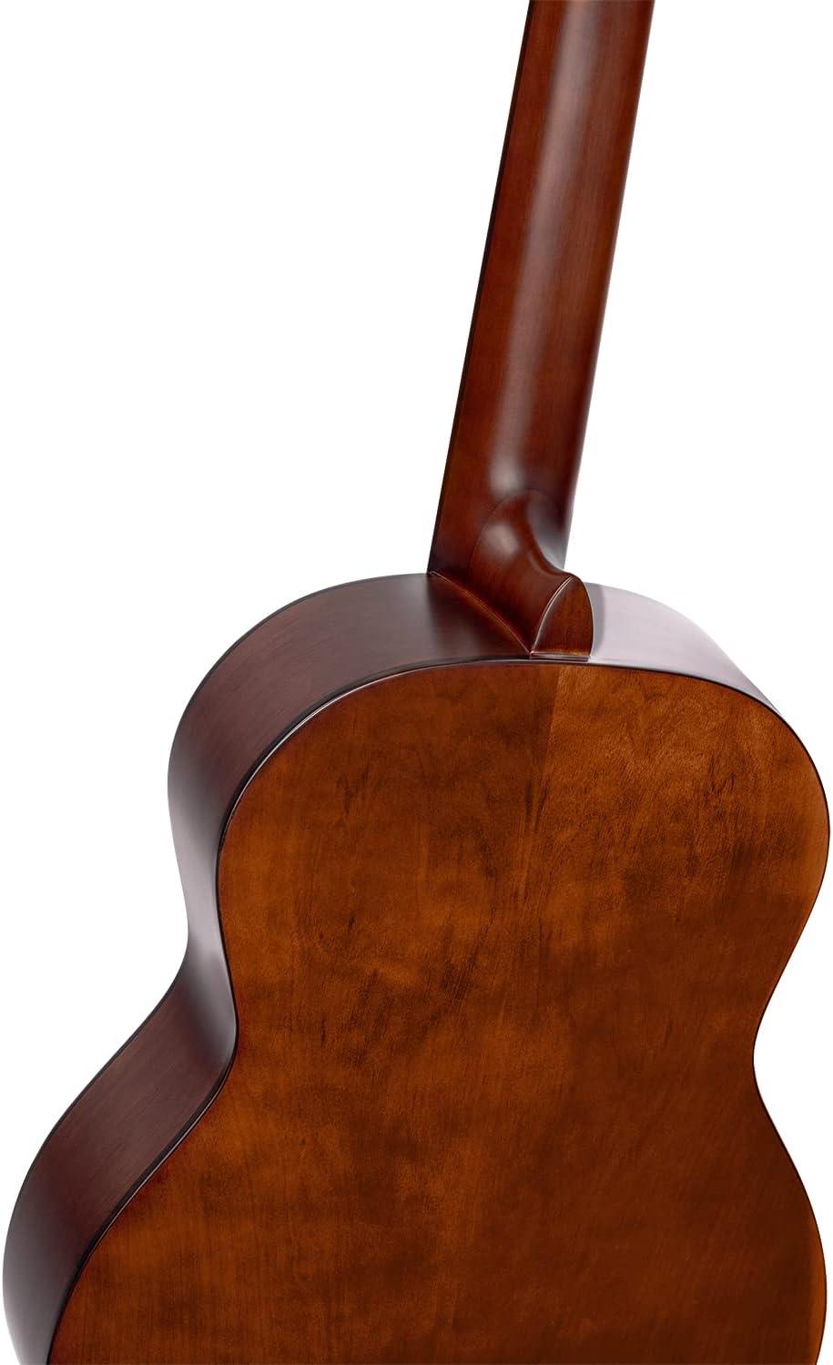 ORTEGA Family Series Pro Akustikgitarre 6 String DeLuxe - semi gloss finish (R55DLX)