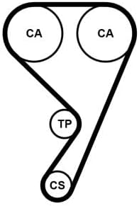 Contitech CT1189 Zahnriemen