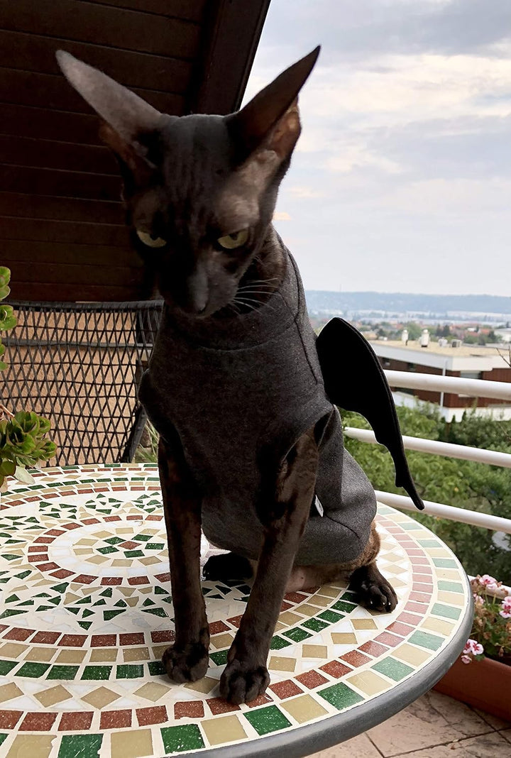 Kotomoda Katzen Kleidung T-Shirt Dragon, L