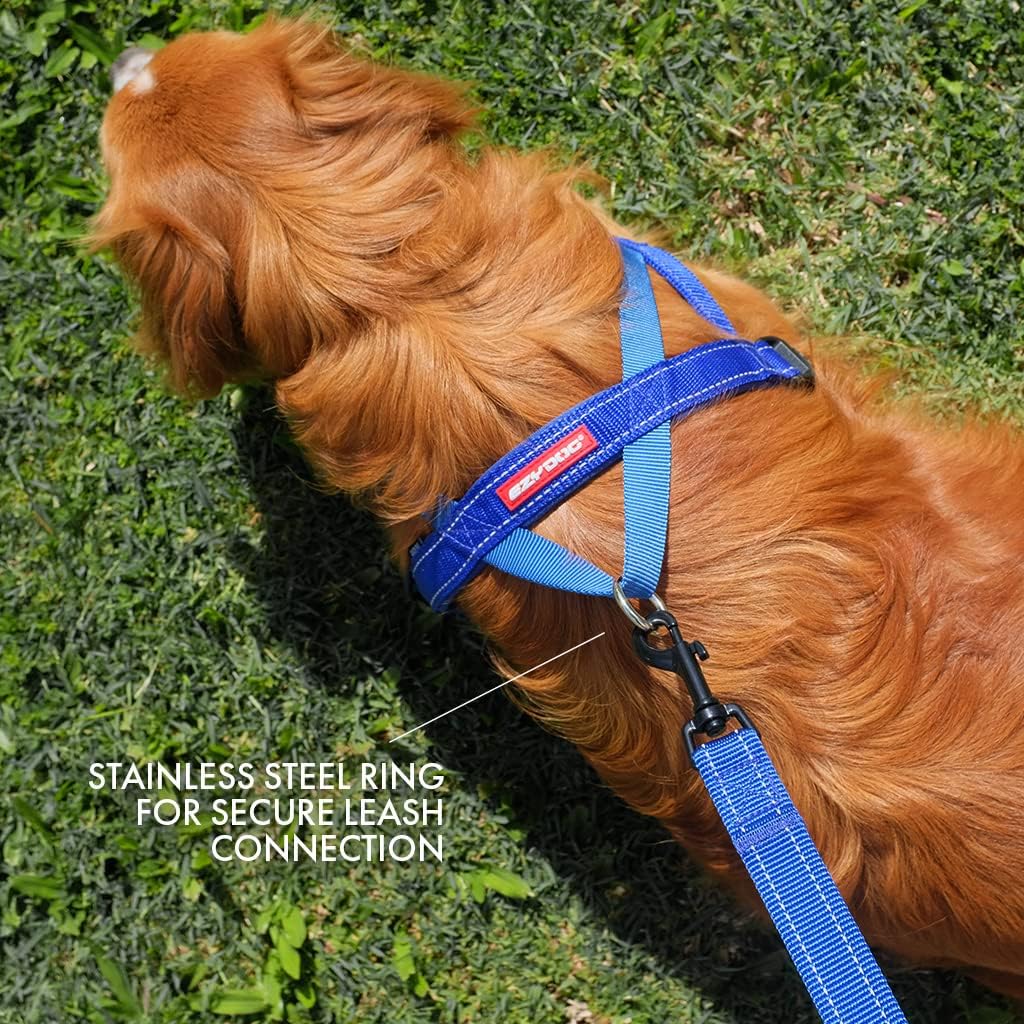 EzyDog 5708214206069 Quick Fit Geschirr Blaze, L, orange Orange L, Orange L