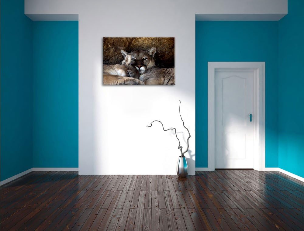 verschlafenes Puma Paar, Format: 100x70 auf Leinwand, XXL riesige Bilder fertig gerahmt mit Keilrahm