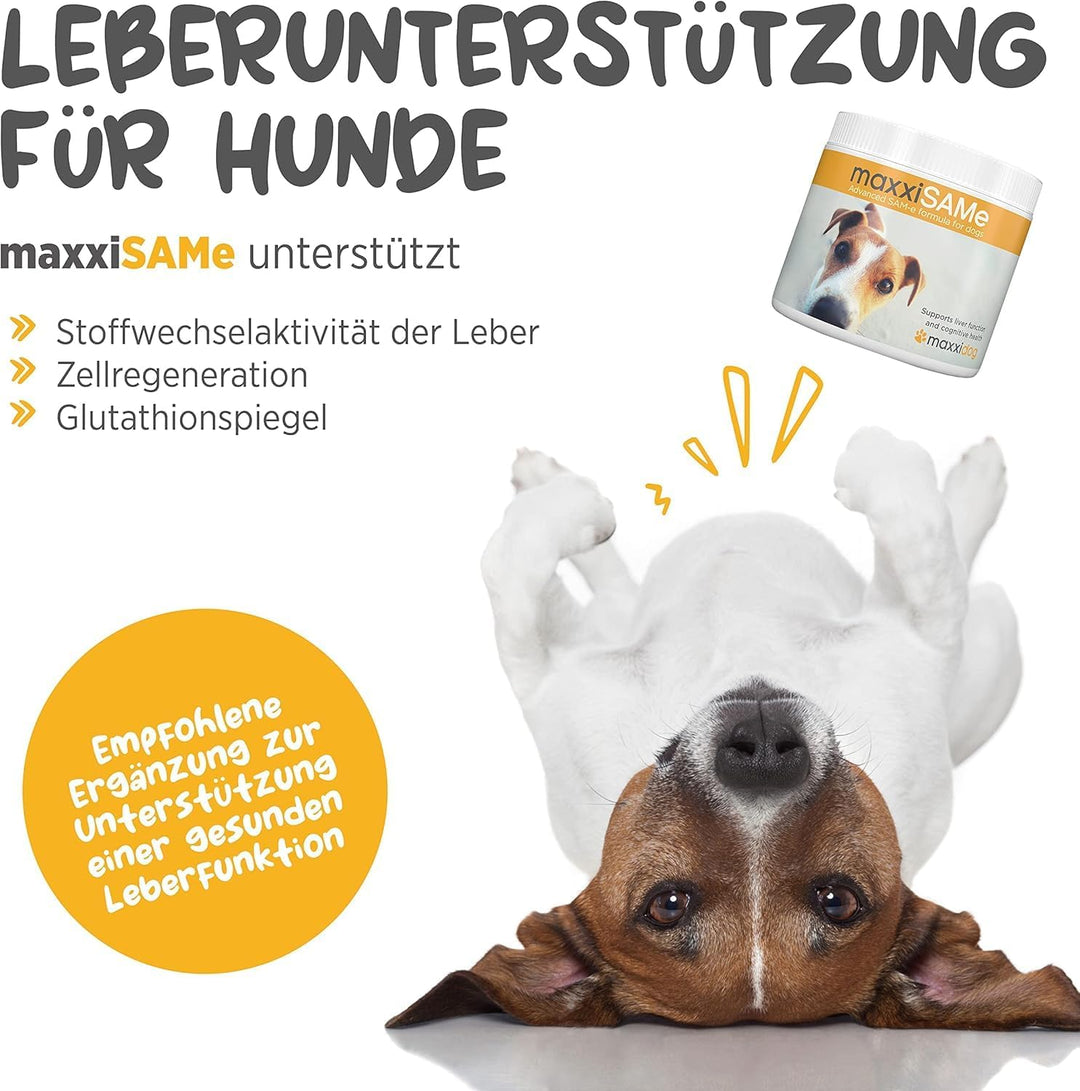 maxxipaws - maxxiSAMe SAM-e Ergänzungsfutter für Hunde -Unterstützung der Leberfunktion & Kognitiver
