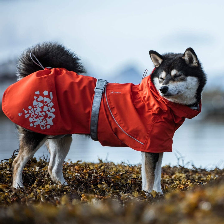 Hurtta Monsoon ECO Hunderegenmantel, wasserdicht Regenjacke für Hunde mit Reflektoren, 100% recycelt