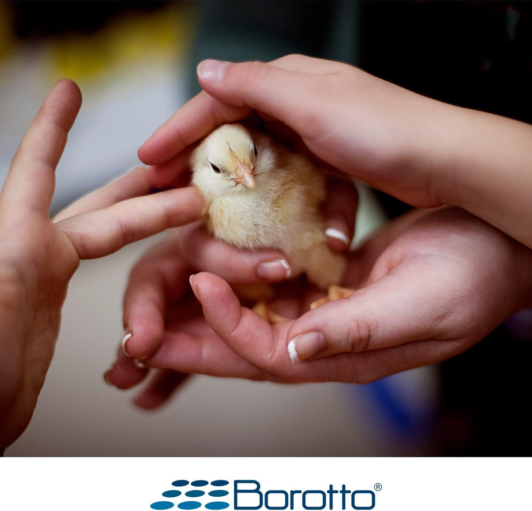 Borotto Real 24 Inkubator, Vollautomatische Ei Wendung für 24 Eier oder 96 kleine Eier, mit Luftbefe