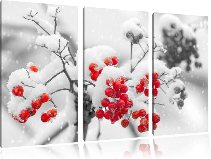 Rote Vogelbeeren im Winter schwarz/weiss 3-Teiler Leinwandbild 120x80 Bild auf Leinwand, XXL riesige