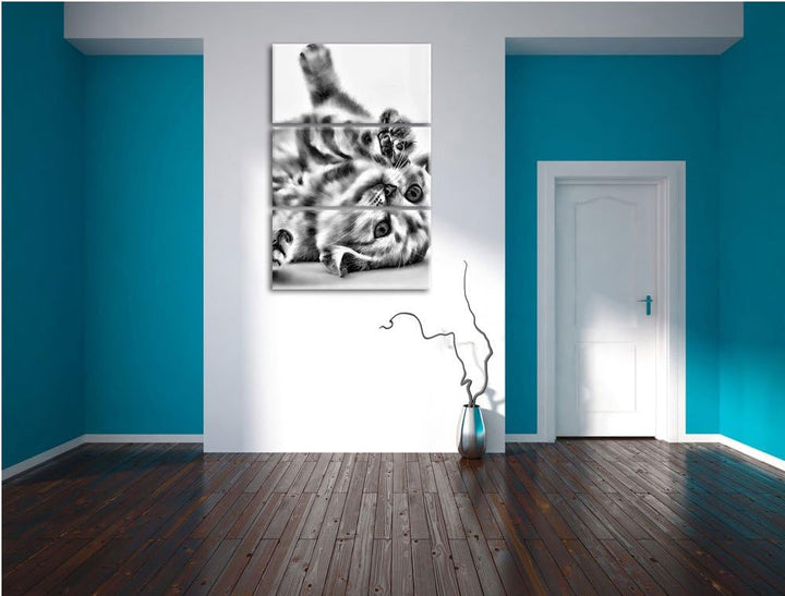 Pixxprint Kleine Katze als Leinwandbild/Grösse: 3 Teilig (120x80) / Wandbild/Kunstdruck/fertig bespa