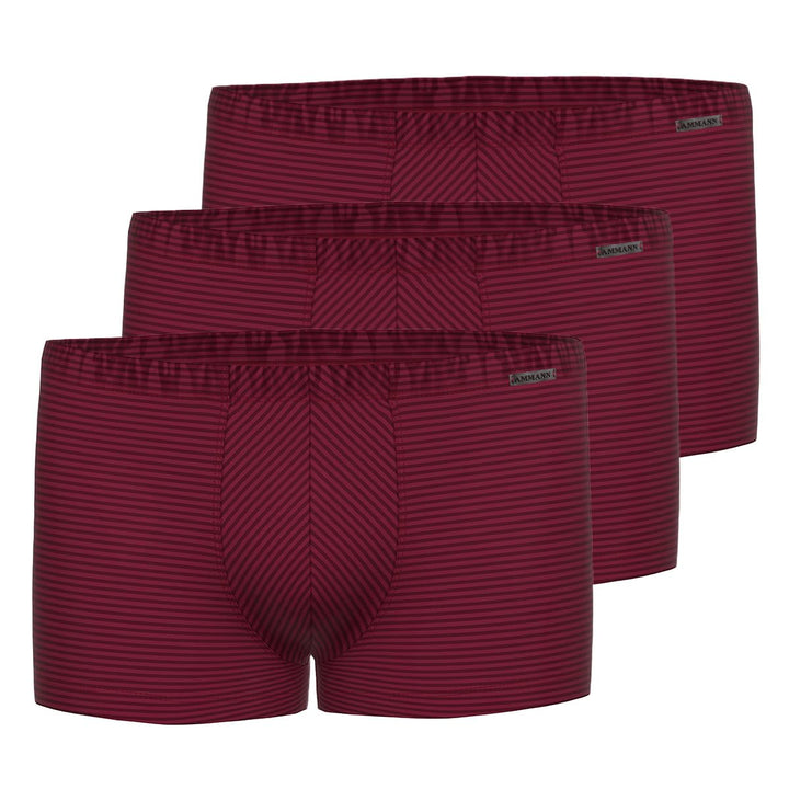 AMMANN - Cotton & More - Retro Short/Pant - 3er Pack (6 Bordeaux)