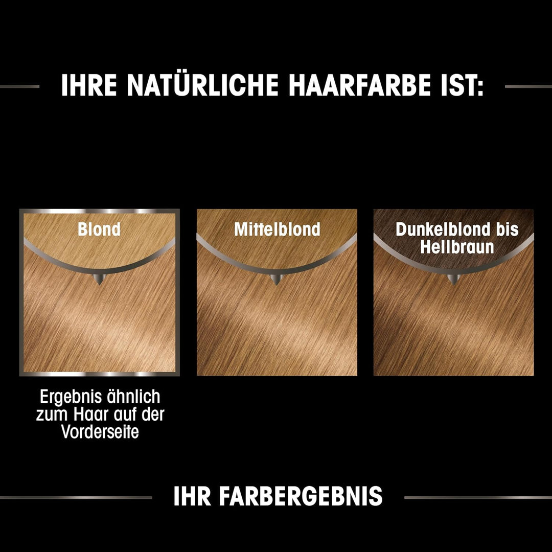 Garnier Olia 8.31 Honigblond, 3er Pack