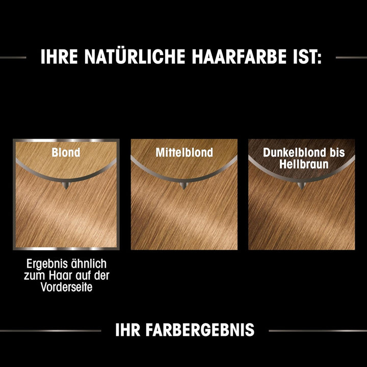 Garnier Olia 8.31 Honigblond, 3er Pack