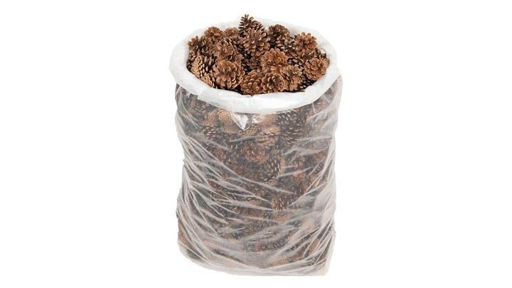 NaDeco 10 kg Schwarzkiefer Zapfen ca. 5-6cm Tannenzapfen Kiefernzapfen Pinus nigra Schwarzkiefern Za