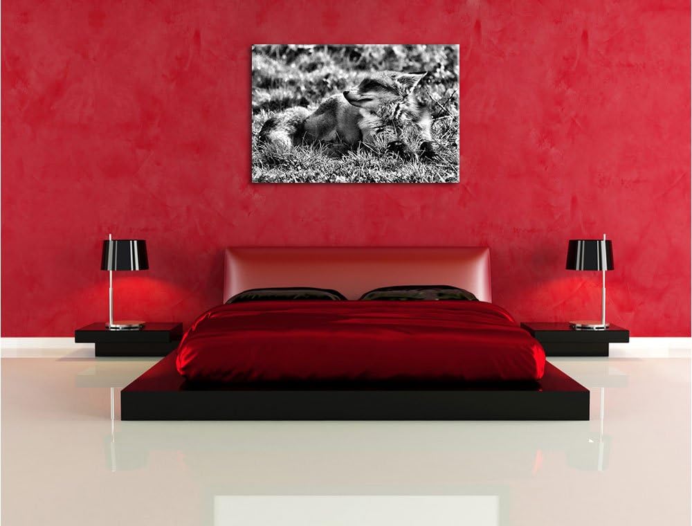 Pixxprint Kleiner Fuchs auf Wiese als Leinwandbild/Grösse: 100x70 / Wandbild/Kunstdruck/fertig bespa