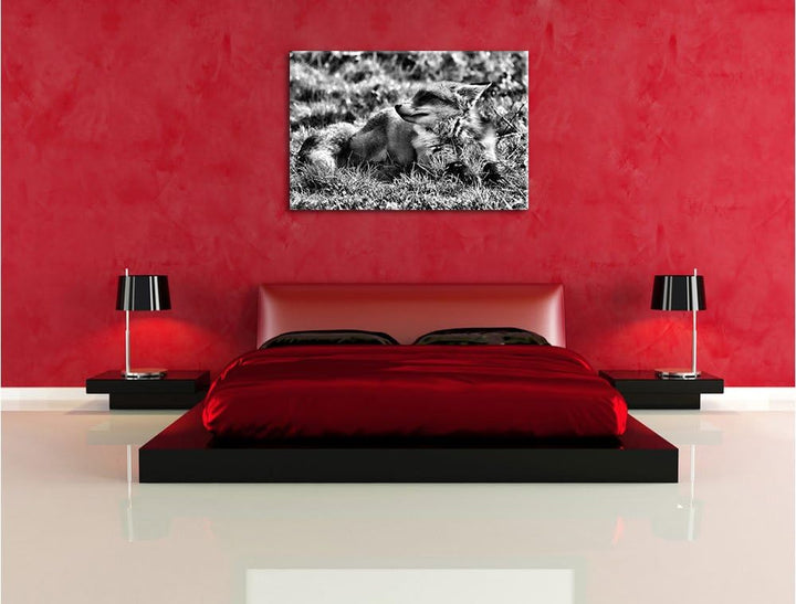 Pixxprint Kleiner Fuchs auf Wiese als Leinwandbild/Grösse: 100x70 / Wandbild/Kunstdruck/fertig bespa