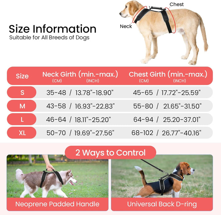 MASBRILL LED Hundegeschirr Leuchtend, Leuchtgeschirr für Hunde Aufladbar Verstellbar LED Leucht Brus
