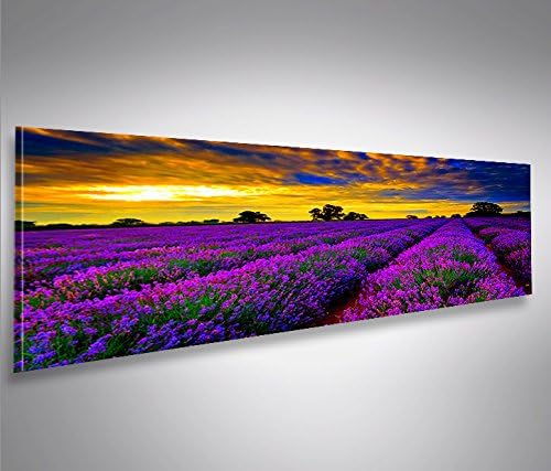 islandburner Bild Bilder auf Leinwand Lavendelfeld V4 Lavendel Provence Panorama XXL Poster Leinwand