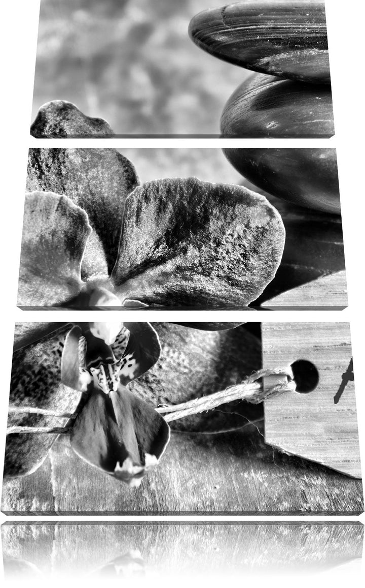 Pixxprint Auszeit Orchidee mit Zen Steinen als Leinwandbild/Grösse: 3 Teilig (120x80) cm/Wandbild/Ku