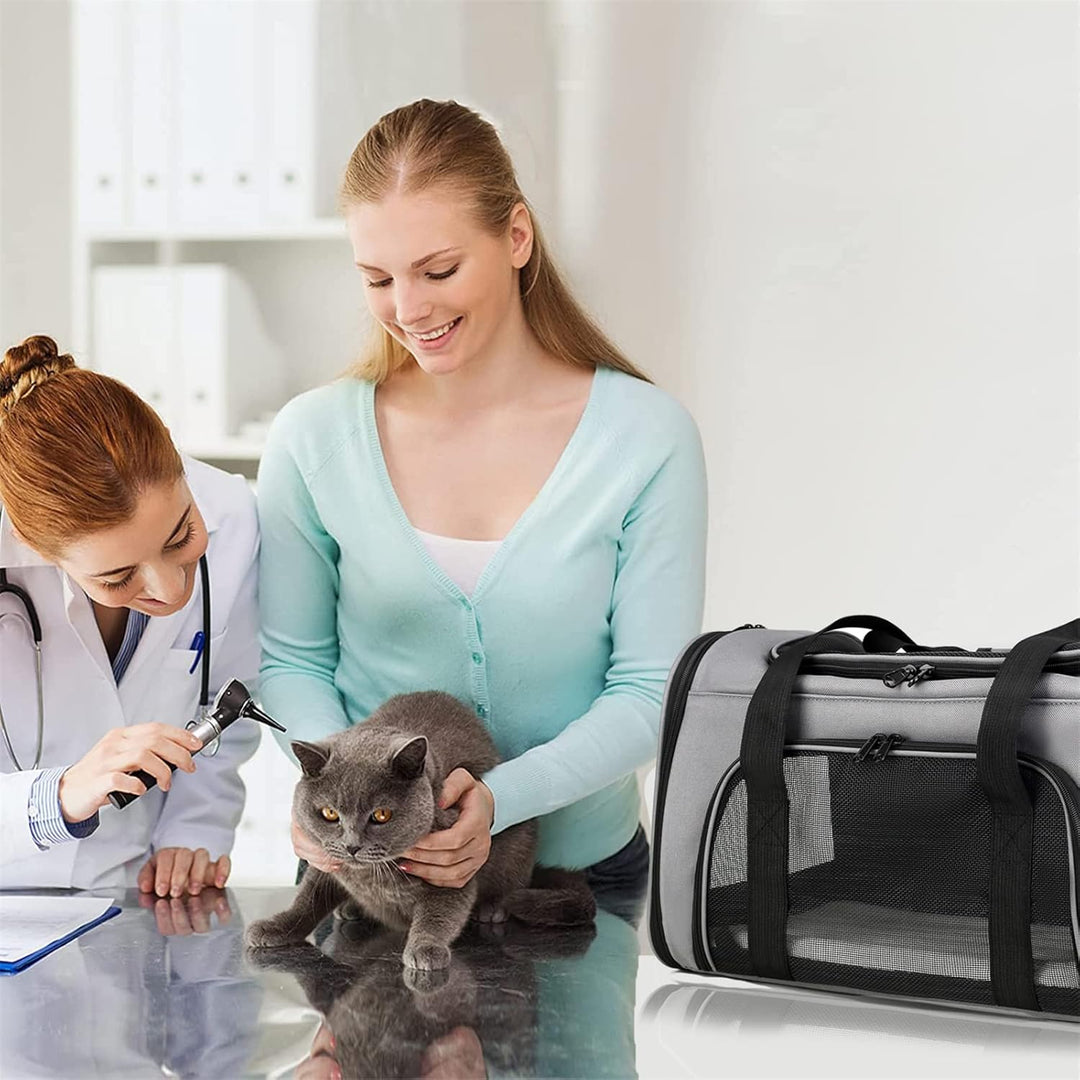 Bibykivn Transporttasche für Katze Hund, Katzentransportbox, Hundebox Faltbar Hundetasche Transportt