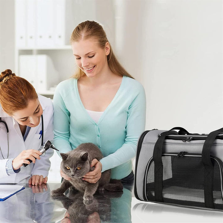 Bibykivn Transporttasche für Katze Hund, Katzentransportbox, Hundebox Faltbar Hundetasche Transportt