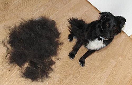 EzzyGroom Hundbürste Ezzy Katzenbürste Fellbürste Hit Fellpflege Hundekamm