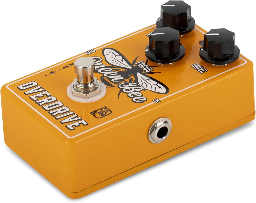 Caline CP-503 »Queen Bee« Overdrive | Boden-Effektgerät CP503, CP503