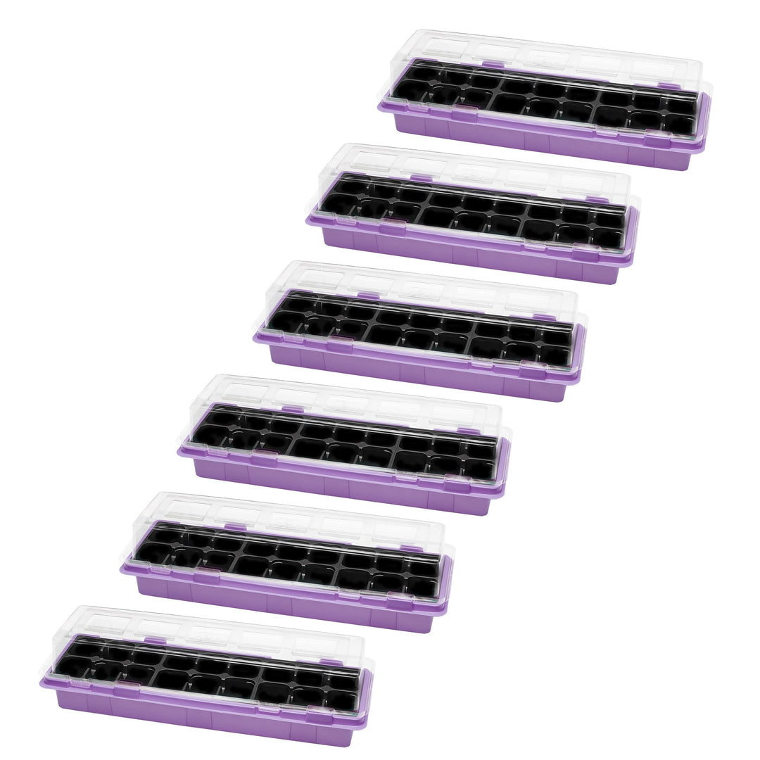 Mini Gewächshaus Anzuchtkasten Pflanzen im Innenbereich Anzuchttöpfe GD-0043 (47x16 cm; Violett, 6 S