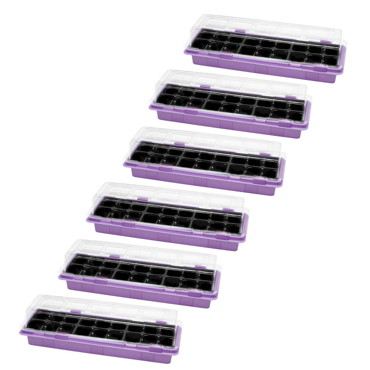 Mini Gewächshaus Anzuchtkasten Pflanzen im Innenbereich Anzuchttöpfe GD-0043 (47x16 cm; Violett, 6 S