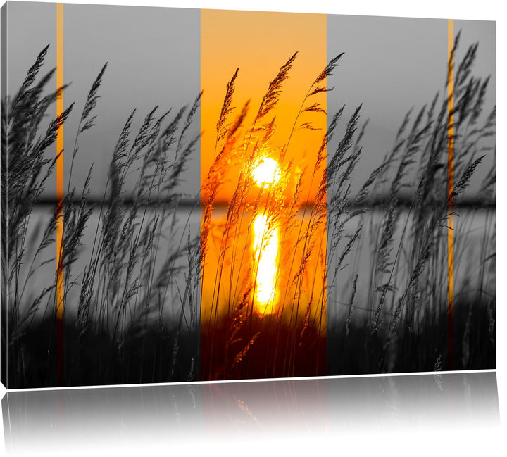 Gräser bei Sonnenuntergang schwarz/weiss Format: 100x70 auf Leinwand, XXL riesige Bilder fertig gera