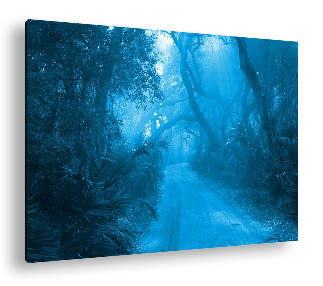 deyoli tropischer Waldweg Format: 80x60 Effekt: Monocrome Blau als Leinwand, Motiv fertig gerahmt au