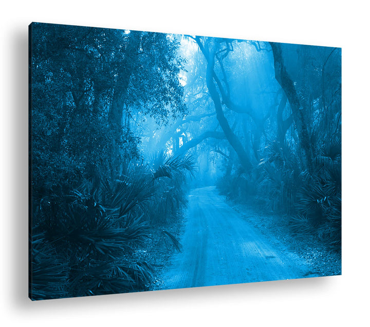 deyoli tropischer Waldweg Format: 80x60 Effekt: Monocrome Blau als Leinwand, Motiv fertig gerahmt au