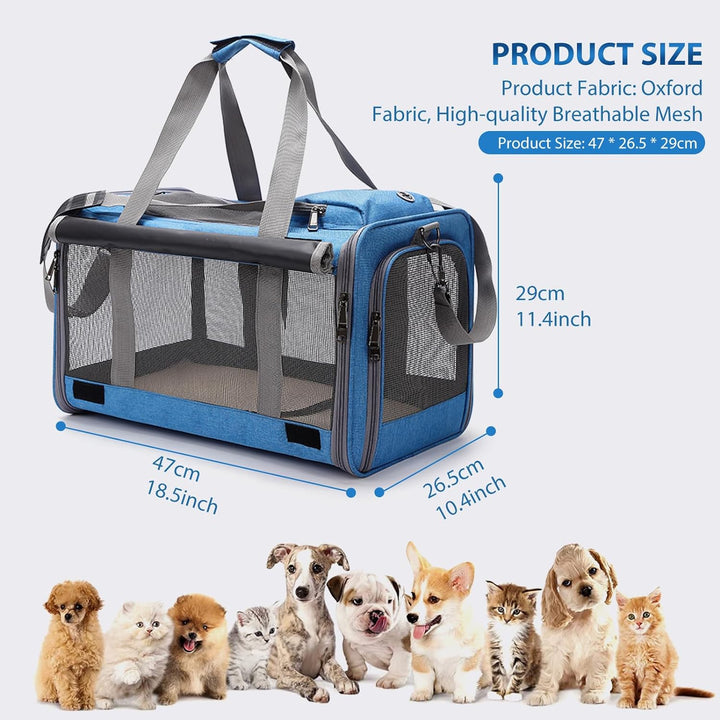 PETCUTE Katzentransportbox für grosse Katzen 20 lbs,Faltbar Hundetransportbox für Kleine Hunde,Tragb
