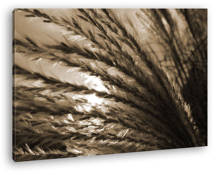 deyoli strahlender Weizen Format: 80x60 Effekt: Sepia als Leinwand, Motiv fertig gerahmt auf Echthol