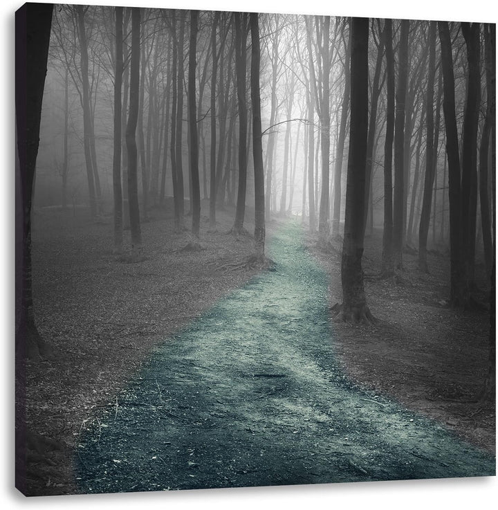 Pixxprint Einsamer Weg im Wald schwarz/weiss, Format: 70x70 auf Leinwand, 70x70