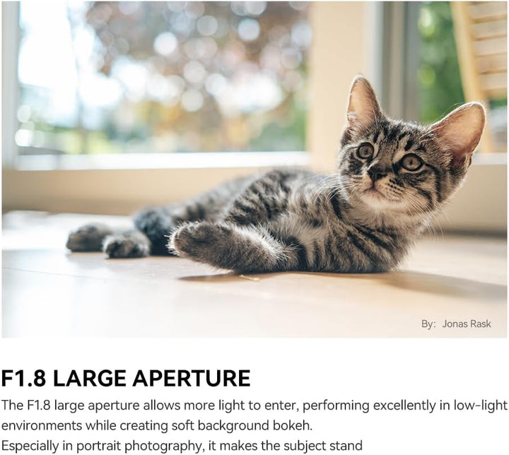 TTartisan AF 35mm F1.8 II Objektiv für Sony, APS-C Autofokus Objektiv E Mount, Leichtes Design Kompa