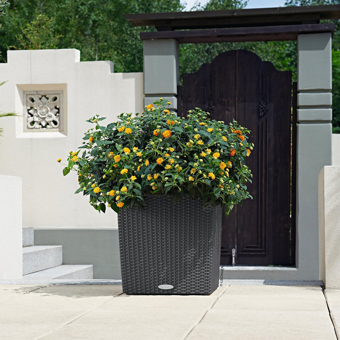 Lechuza "Cube Cottage 40" Pflanzgefäss mit ERD-Bewässerungs-System, Granit, 40 x 40 x 40 cm & Cube C